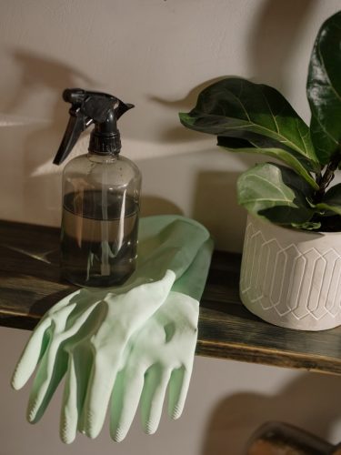 A pair of green gloves with a cleaning liquid alongside a plant